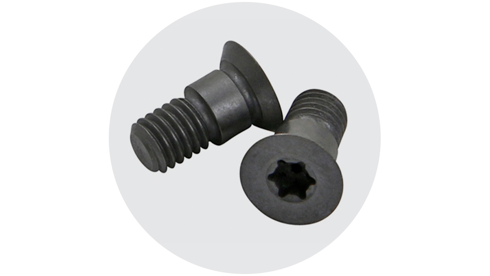 Torx skruer m/senk hode